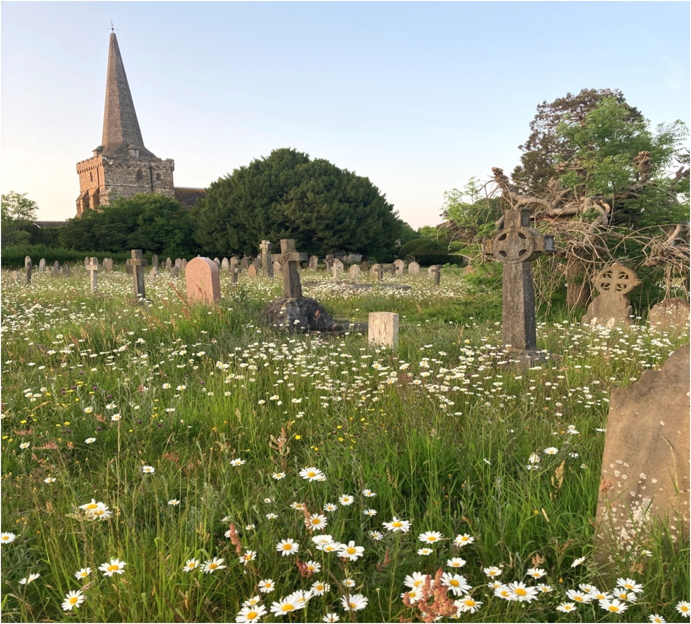 Cemetery at Holy Trinity 