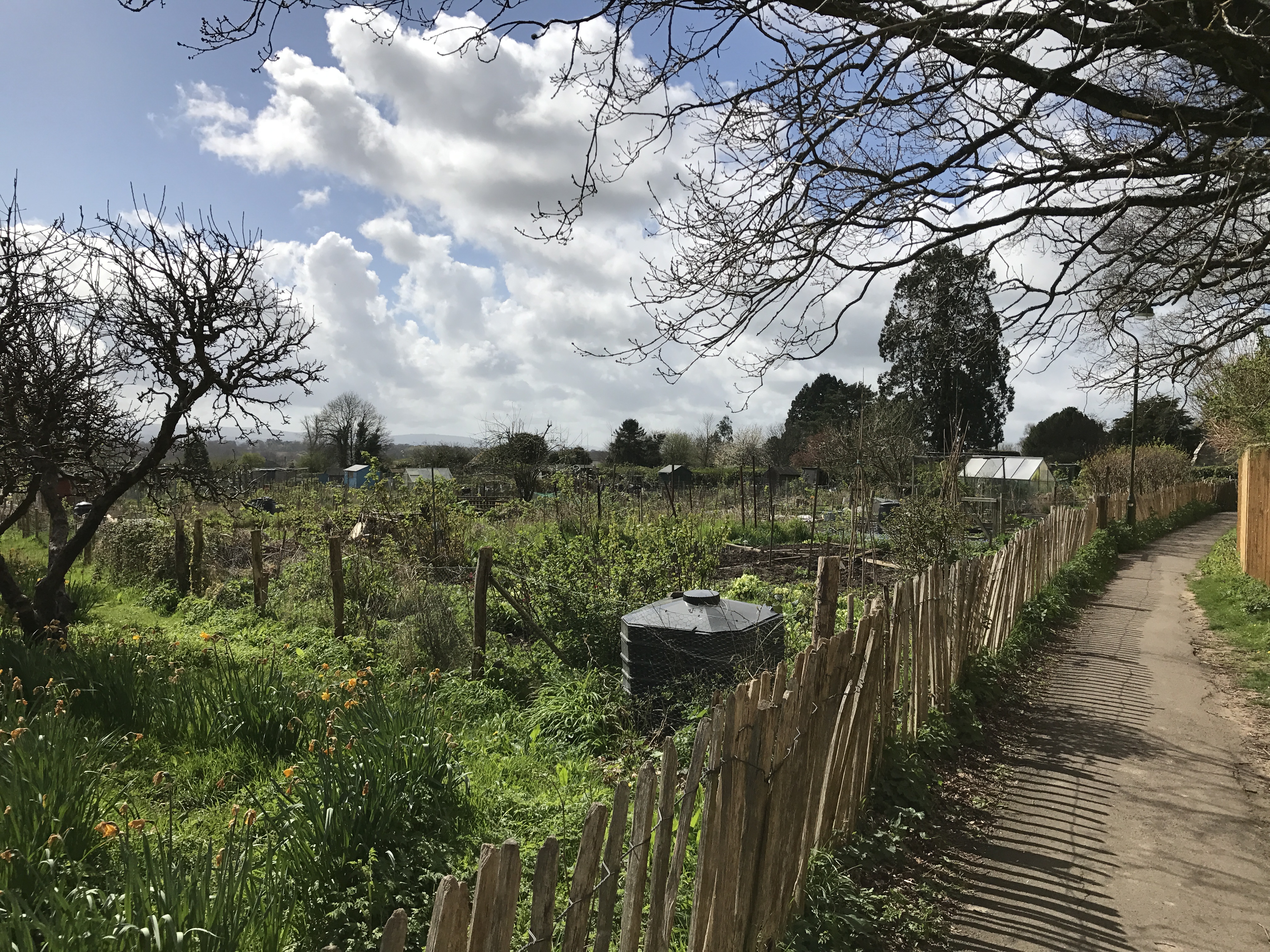 Allotments