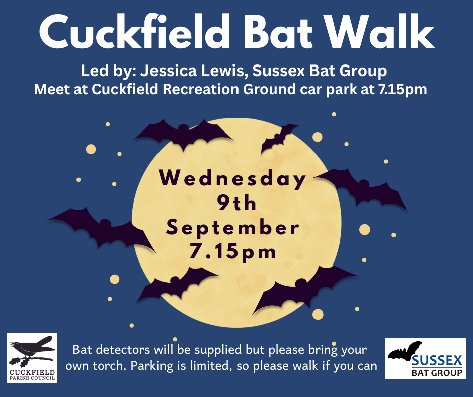 Bat Walk 9Th September 2026