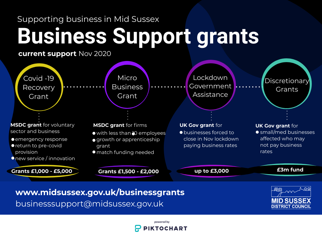 Business Support Graphic Nov 2020