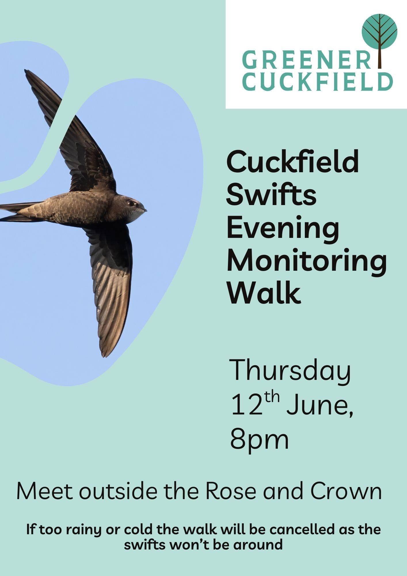 Cuckfield Swifts Evening 12Th June