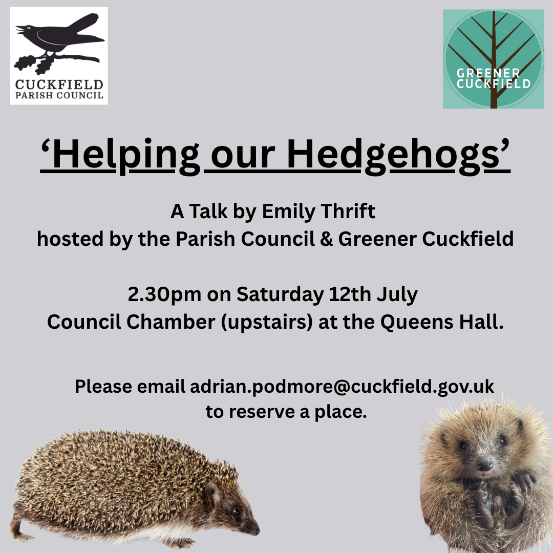 Helping Our Hedgehogs Instagram Post