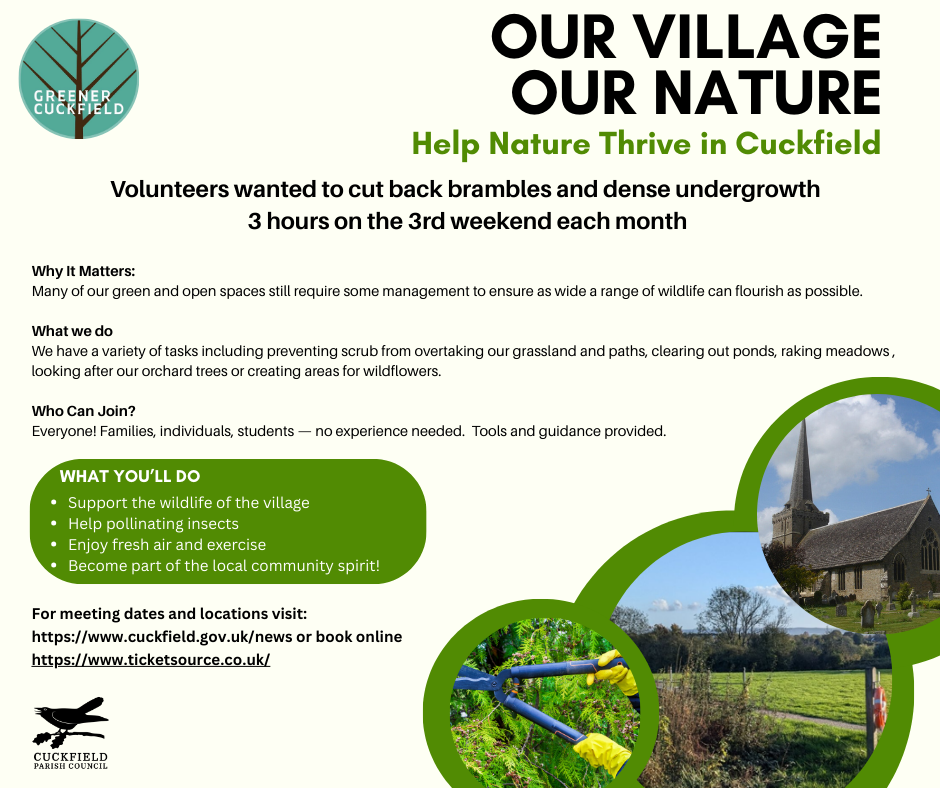 Thrive In Our Village Facebook Post No Qr Code