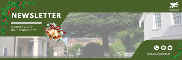 Xmas Newsletter Banner